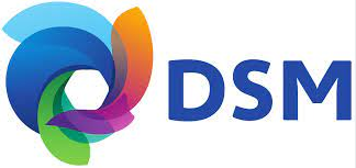 帝斯曼DSM logo